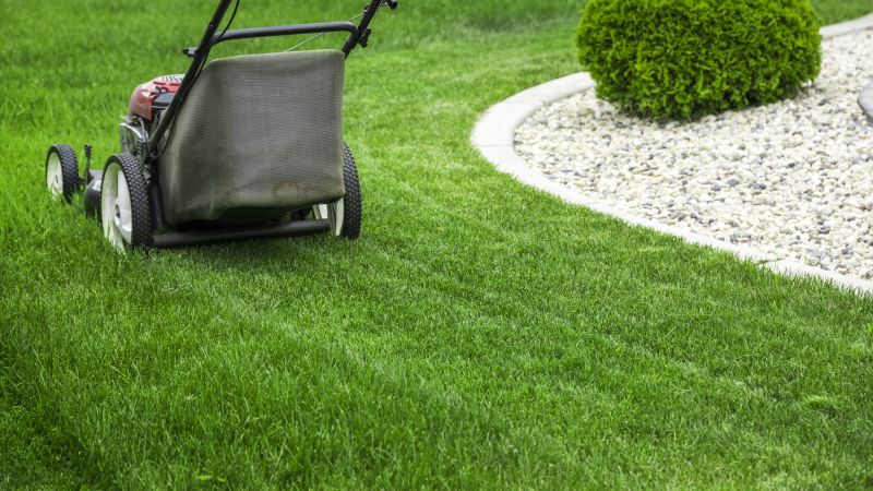 Grass Clippings