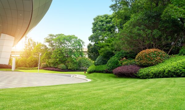 Cost of Commercial Lawn Mowing in Decatur
