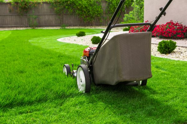 Home Yard Maintenance in Decatur