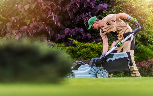 Lawn Care And Maintenance in Decatur