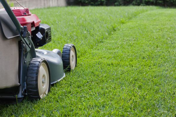Lawn Care Service in Decatur