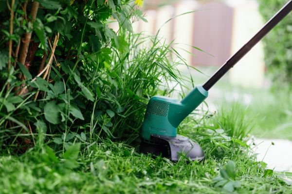 Weed Whacking in Decatur