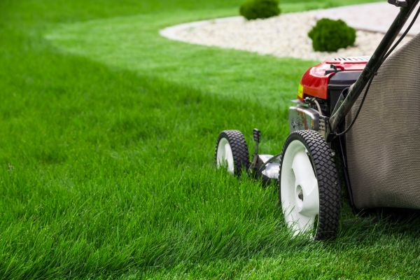 Yard Maintenance in Decatur