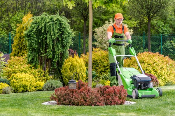 Cost of Yard Service in Decatur