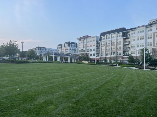 Cost of Urban Lawn Care in Decatur