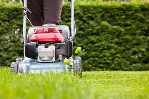 Grass Trimming Service in Decatur