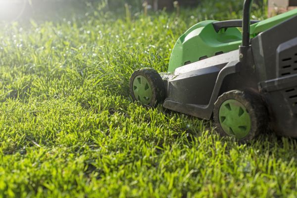 Cost of Lot Mowing in Decatur