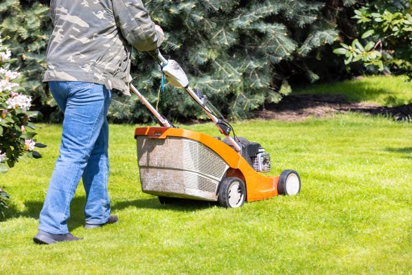 Springtime Lawn Care in Decatur