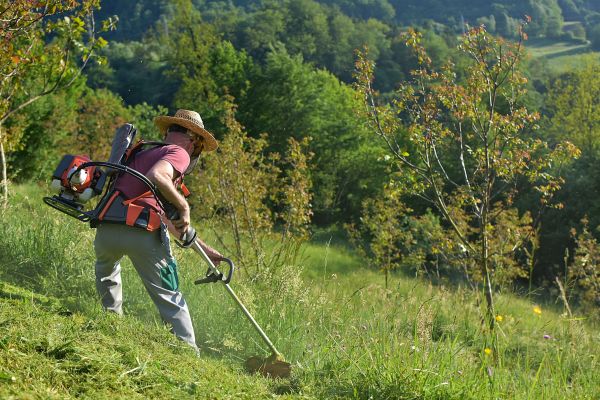 Slope Mowing in Decatur